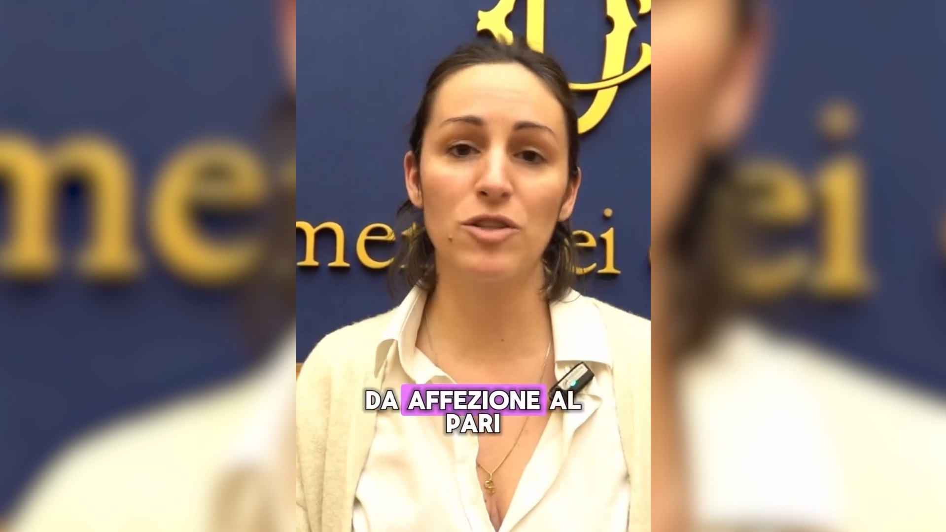 “Basta macellare cavalli e asini, vanno riconosciuti come animali d’affezione”: la proposta di legge di Evi (Pd) “Basta macellare cavalli e asini, vanno riconosciuti come animali d’affezione”: la proposta di legge di Evi (Pd)