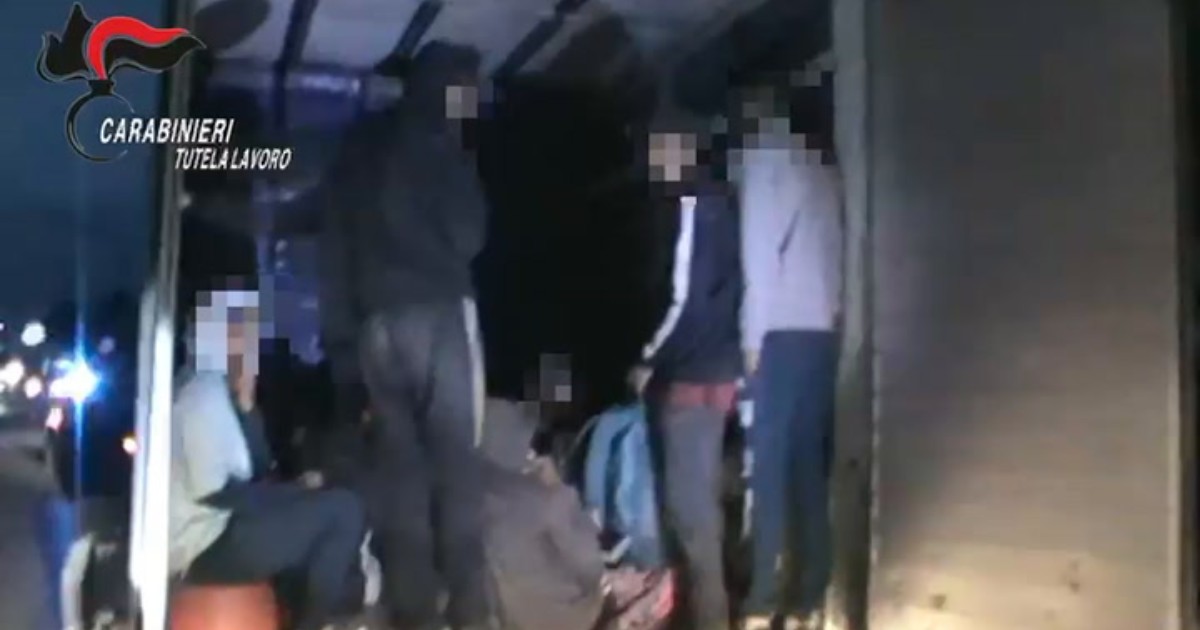 voi siete delle pecore braccianti massacrati di lavoro per 270 euro l8217ora tre arresti da Ilfattoquotidiano.it voi siete delle pecore braccianti massacrati di lavoro per 270 euro l8217ora tre arresti