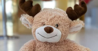 Copertina di “Immaginiamo una manina che lo stringeva forte. Aiutateci a farlo tornare tra le braccia giuste”: l’appello per riportare a casa l’orsacchiotto di peluche perso in aeroporto