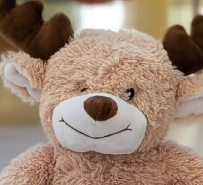 “Immaginiamo una manina che lo stringeva forte. Aiutateci a farlo tornare tra le braccia giuste”: l’appello per riportare a casa l’orsacchiotto di peluche perso in aeroporto