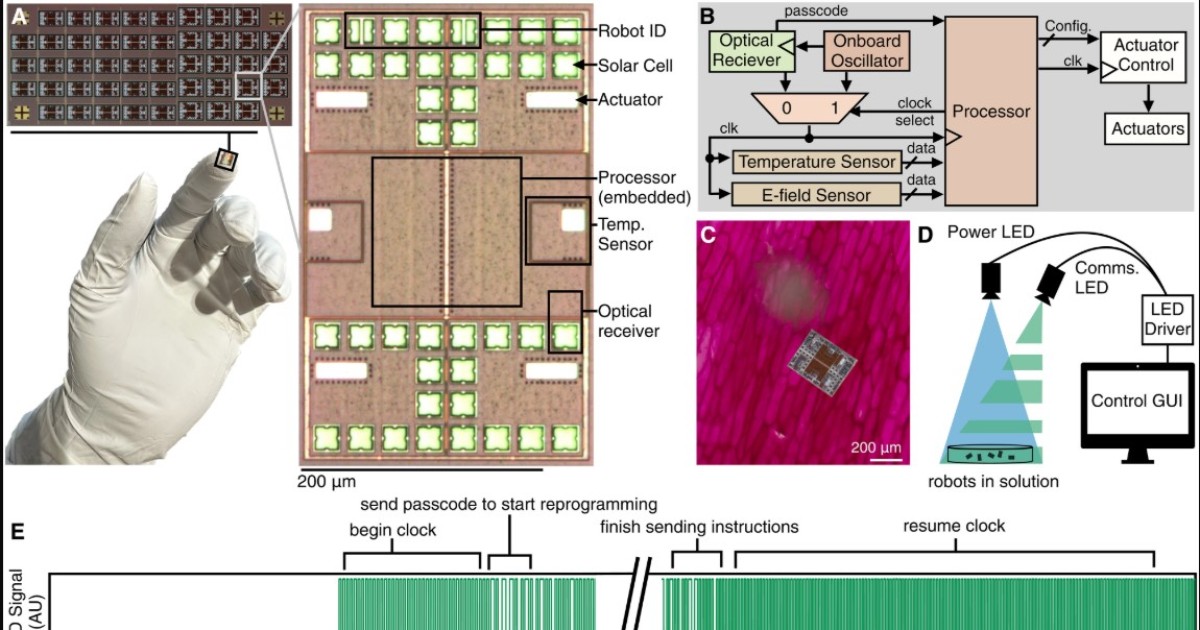 ecco i primi robot microscopici possono prendere decisioni autonome e muoversi lo studio su science da Ilfattoquotidiano.it ecco i primi robot microscopici possono prendere decisioni autonome e muoversi lo studio su science