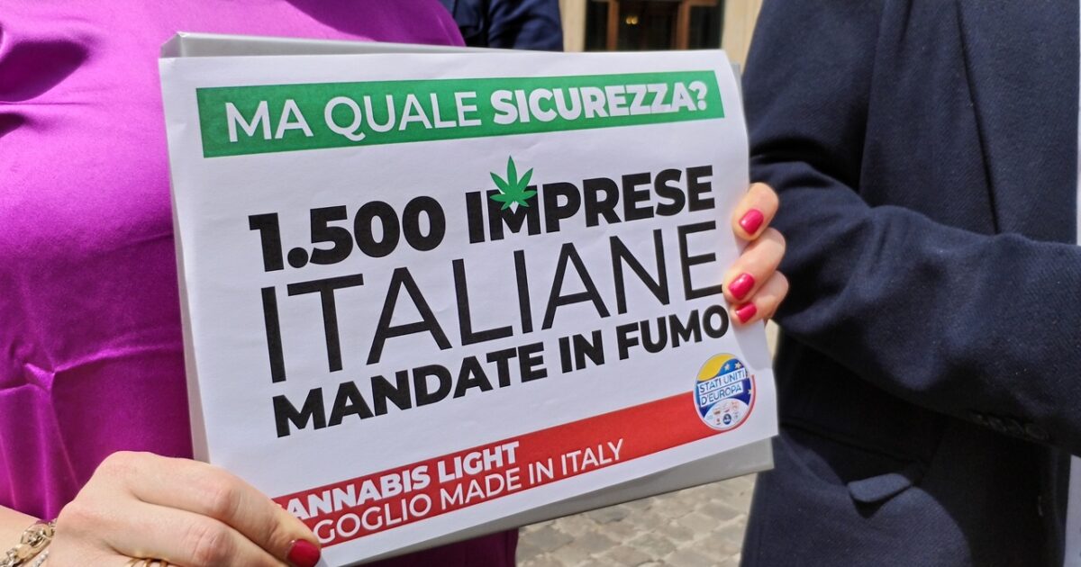 Cannabis light, gli imprenditori: “60 sequestri e denunce per droga in 4 giorni. Il governo rafforza la repressione”