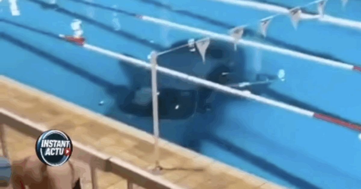 Un’auto entra nella piscina comunale e affonda: rocambolesca manovra di una mamma con la figlia – VIDEO