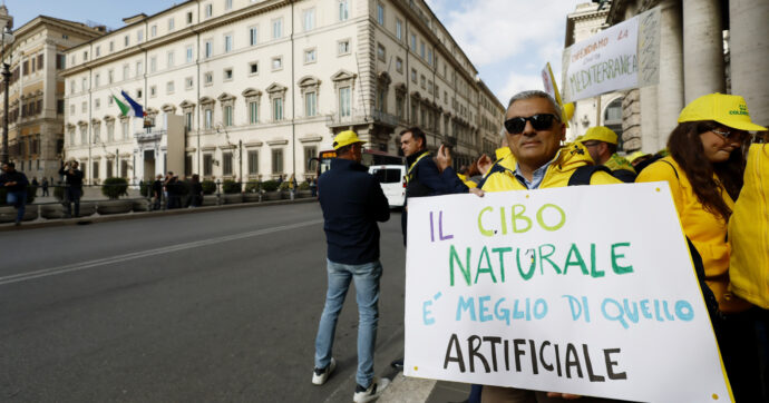 Nuovi Ogm, liberi tutti: in un report i pericoli della deregolamentazione. Ma c’è chi si oppone