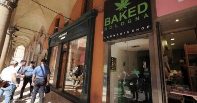 Copertina di Cannabis light contaminata, il governo lancia l’allarme. Ma boccia i controlli e favorisce la repressione contro la filiera