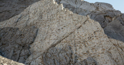 Copertina di Scoperte migliaia di impronte di dinosauri nel Parco Nazionale dello Stelvio. L’esperto: “Patrimonio scientifico immenso” – Video