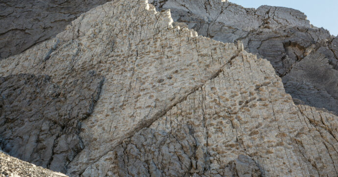 Scoperte migliaia di impronte di dinosauri nel Parco Nazionale dello Stelvio. L’esperto: “Patrimonio scientifico immenso” – Video