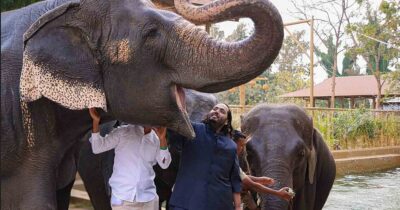 Copertina di La verità dietro il mega zoo del miliardario Ambani: il centro Vantara che dice di salvare animali a rischio estinzione finisce sotto accusa