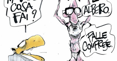 Copertina di La vignetta di Mora