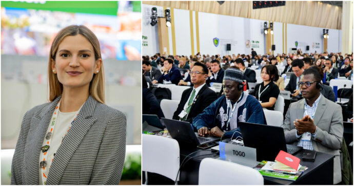 Commercio illegale di fauna, dalle pelli esotiche per la moda ai rischi del pet trade: “In Italia quadro preoccupante” | L’intervista all’esperta della Wcs