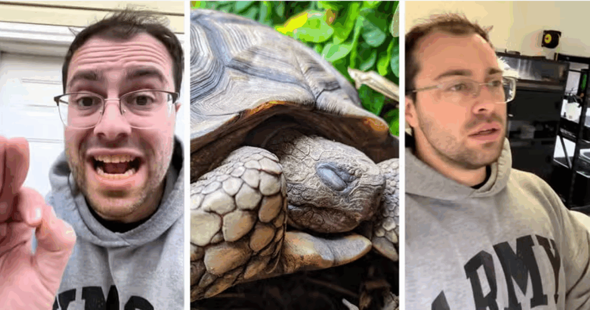 “Non seppellite mai le tartarughe, è un’idea orribile. Ecco perché”: l’allarme dell’esperto è virale su TikTok