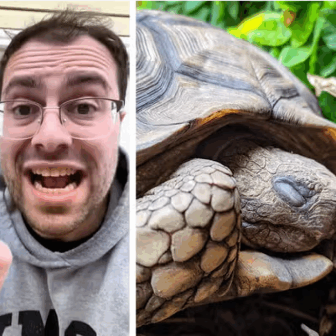 “Non seppellite mai le tartarughe, è un’idea orribile. Ecco perché”: l’allarme dell’esperto è virale su TikTok