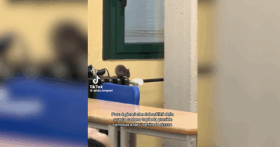 Copertina di “Dai soffitti della scuola cadono topi”: il video di denuncia di una studentessa diventa virale