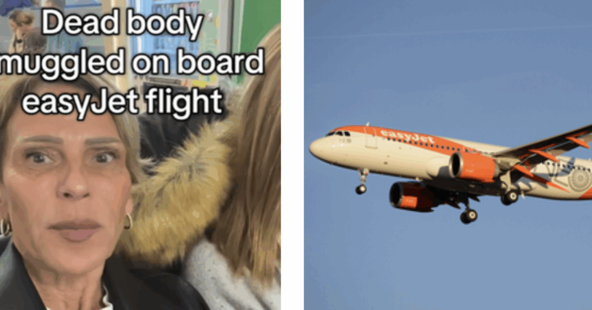 “Hanno fatto salire una donna morta sull’aereo. Era accasciata sulla sedia a rotelle, l’hanno sistemata sul sedile e le parlavano come fosse viva”: cos’è successo su un volo Malaga-Londra