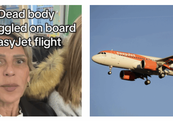 “Hanno fatto salire una donna morta sull’aereo. Era accasciata sulla sedia a rotelle, l’hanno sistemata sul sedile e le parlavano come fosse viva”: cos’è successo su un volo Malaga-Londra