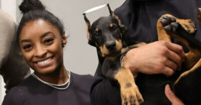 Copertina di “La conchectomia è una mutilazione inutile ed estremamente dolorosa per il cane”: la ginnasta Simone Biles acquista un dobermann con le orecchie tagliate e scoppia la polemica