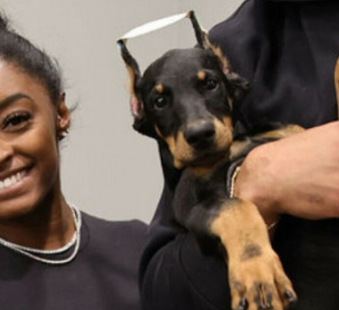 “La conchectomia è una mutilazione inutile ed estremamente dolorosa per il cane”: la ginnasta Simone Biles acquista un dobermann con le orecchie tagliate e scoppia la polemica