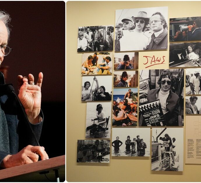 I cimeli di Lo squalo tornano in superficie: arpione e canna da pesca all’asta e valgono una fortuna