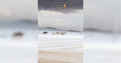 Copertina di Lo spettacolo della neve nel deserto, il video del nord dell’Arabia Saudita che si tinge di bianco: “Non accadeva da 30 anni”