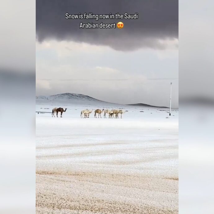 Lo spettacolo della neve nel deserto, il video del nord dell’Arabia Saudita che si tinge di bianco: “Non accadeva da 30 anni”