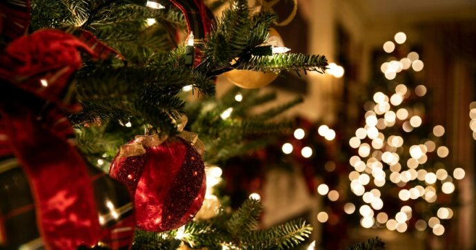 Luci, alberi, cibo e microplastiche: a Natale s’inquina molto di più. Ecco i consigli per celebrare le feste rispettando il Pianeta