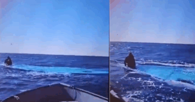 Copertina di “Cento morti nel naufragio”: il racconto dell’unico migrante sopravvissuto trovato in mezzo al mare