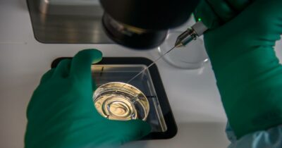 Copertina di La moglie non può usare il seme congelato del marito morto: la sentenza a Firenze