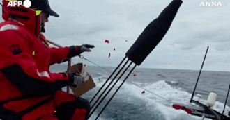 Copertina di Strage di Bondi Beach, petali in mare in ricordo delle vittime: l’omaggio degli skipper