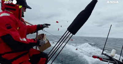 Copertina di Strage di Bondi Beach, petali in mare in ricordo delle vittime: l’omaggio degli skipper