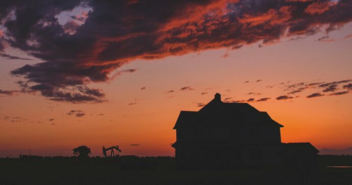 Il mostro è dentro casa:  il marito, i figli e i cani
