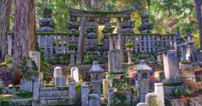 Copertina di Per la fine dell’anno la domanda giusta da farsi è: cos’ho imparato a lasciare andare?