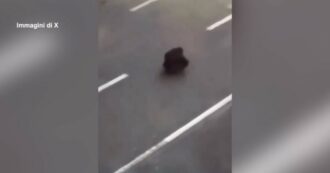 Copertina di Il ragazzo seduto davanti ai poliziotti in moto il simbolo della rivolta in Iran. Il video diventa virale