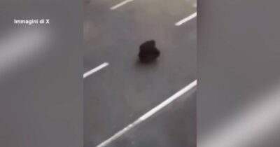 Copertina di Il ragazzo seduto davanti ai poliziotti in moto il simbolo della rivolta in Iran. Il video diventa virale