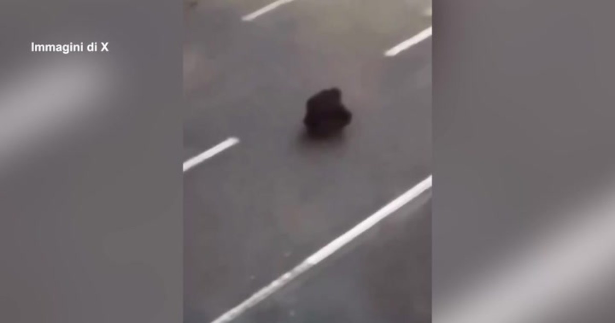 Il ragazzo seduto davanti ai poliziotti in moto diventa il simbolo della rivolta in Iran e il video diventa virale