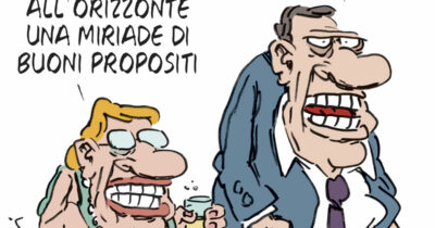Copertina di La vignetta di Franzaroli