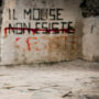 I edizione Molistantanee - Radici di Mariangela Del Cioppo