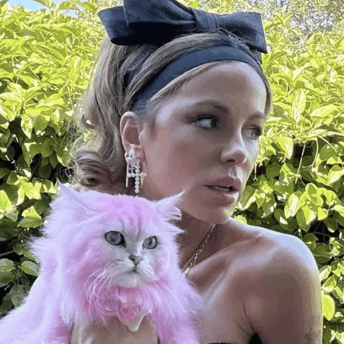 “Scrivete commenti da crudeli pezzi di m**** sul fatto che sono troppo magra, non capite che soffro? Vedere le persone che ami morire in modo orribile ti toglie la fame”: lo sfogo di Kate Beckinsale