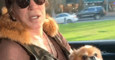 Copertina di Mickey Rourke a rischio fratto: l’attore ha ricevuto un avviso di pagamento di oltre 50mila dollari di affitto arretrato. Il proprietario è furibondo