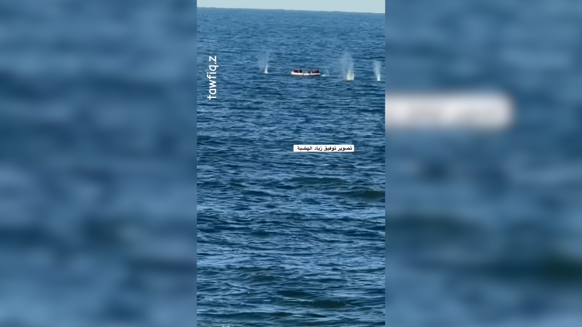 gaza raffica di colpi della marina israeliana su due pescatori in barca il disperato tentativo di mettersi in salvo da Ilfattoquotidiano.it gaza raffica di colpi della marina israeliana su due pescatori in barca il disperato tentativo di mettersi in salvo