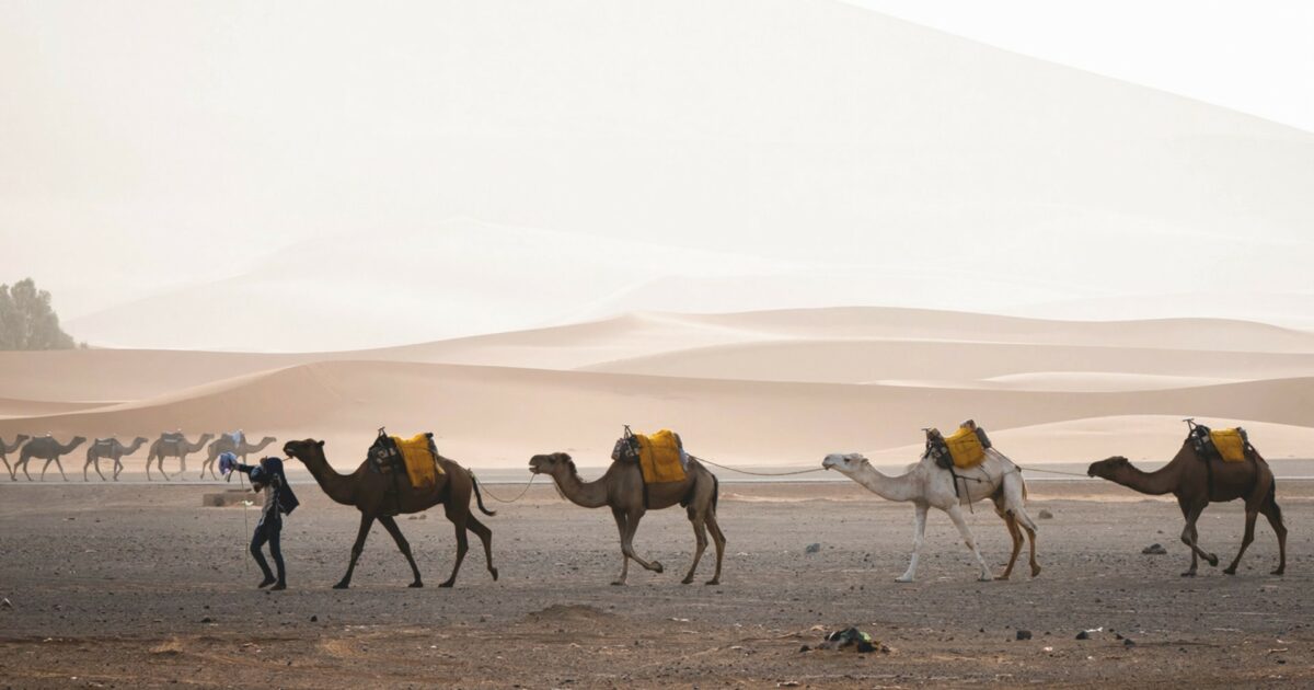 ‘’Amyntas’’, l’inedito giovanile di André Gide