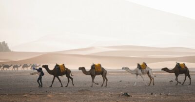 Copertina di ‘’Amyntas’’, l’inedito giovanile di André Gide