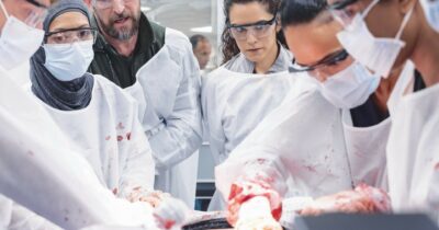 Copertina di Pillole dagli sconosciuti, madri infermiere e IA: riapre il pronto soccorso (in tv) con ‘’The Pitt 2’’