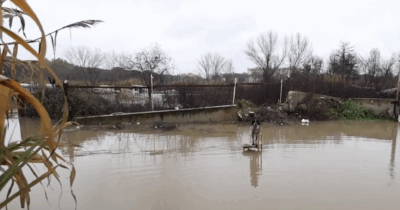 Copertina di Allagamenti a Roma, strade sommerse in zona Tiburtina e una famiglia evacuata