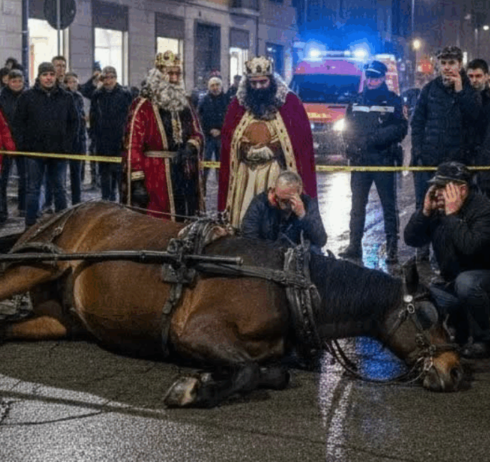 Un cavallo scivola e muore durante la Cavalcata dei Re Magi a Nocera Inferiore. La rabbia degli animalisti contro gli organizzatori: “Questa morte non è una fatalità”