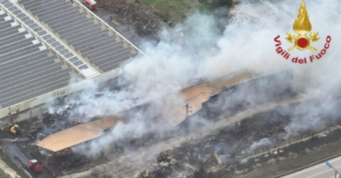 “Dopo due anni dall’incendio della discarica di Licata, i rifiuti bruciati sono ancora lì. Molti cani e gatti sono morti”