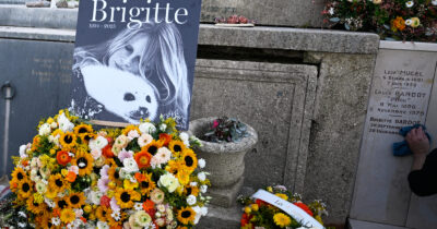 Copertina di La battaglia per l’eredità di Brigitte Bardot: il figlio e il marito contro il testamento, reclamano una quota del patrimonio da 69,5 milioni lasciato tutto agli animali
