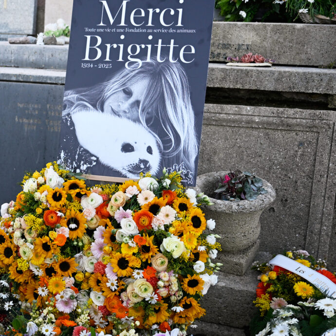 La battaglia per l’eredità di Brigitte Bardot: il figlio e il marito contro il testamento, reclamano una quota del patrimonio da 69,5 milioni lasciato tutto agli animali
