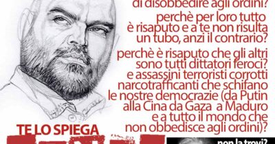 Copertina di La vignetta di Mannelli