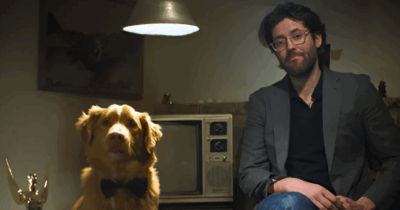 Copertina di “E il premio per il migliore attore protagonista va al cane”: sembra una gag ma è accaduto davvero agli Astra Awards 2025. Chi è Indy, il retriever che ha spodestato Ethan Hawke