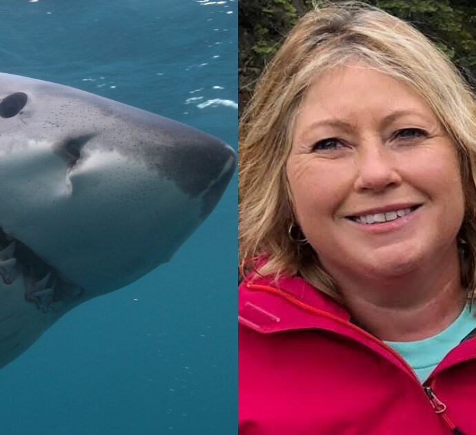 “Urlava, ho visto tutto il sangue in acqua. Aveva perso il braccio, è stato terrificante”: il racconto dell’infermiere che ha soccorso una donna azzannata da uno squalo